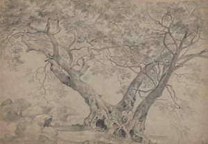 内米湖畔的Arbra Sacra